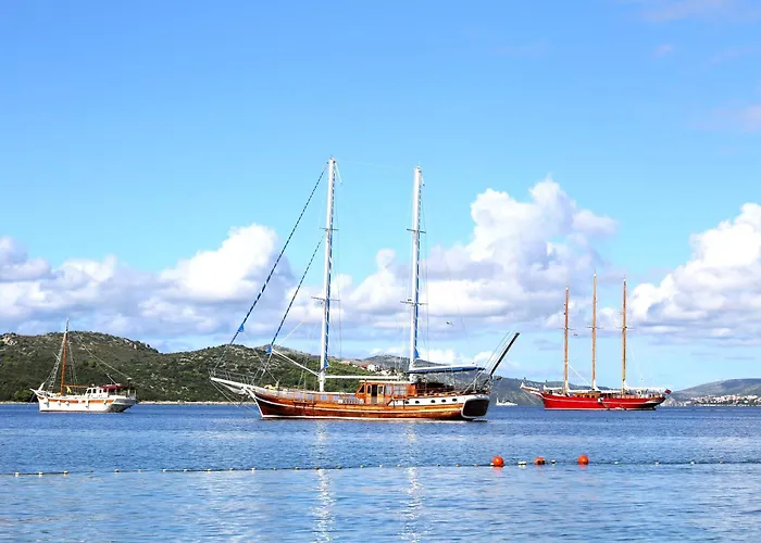 Divine Seaview