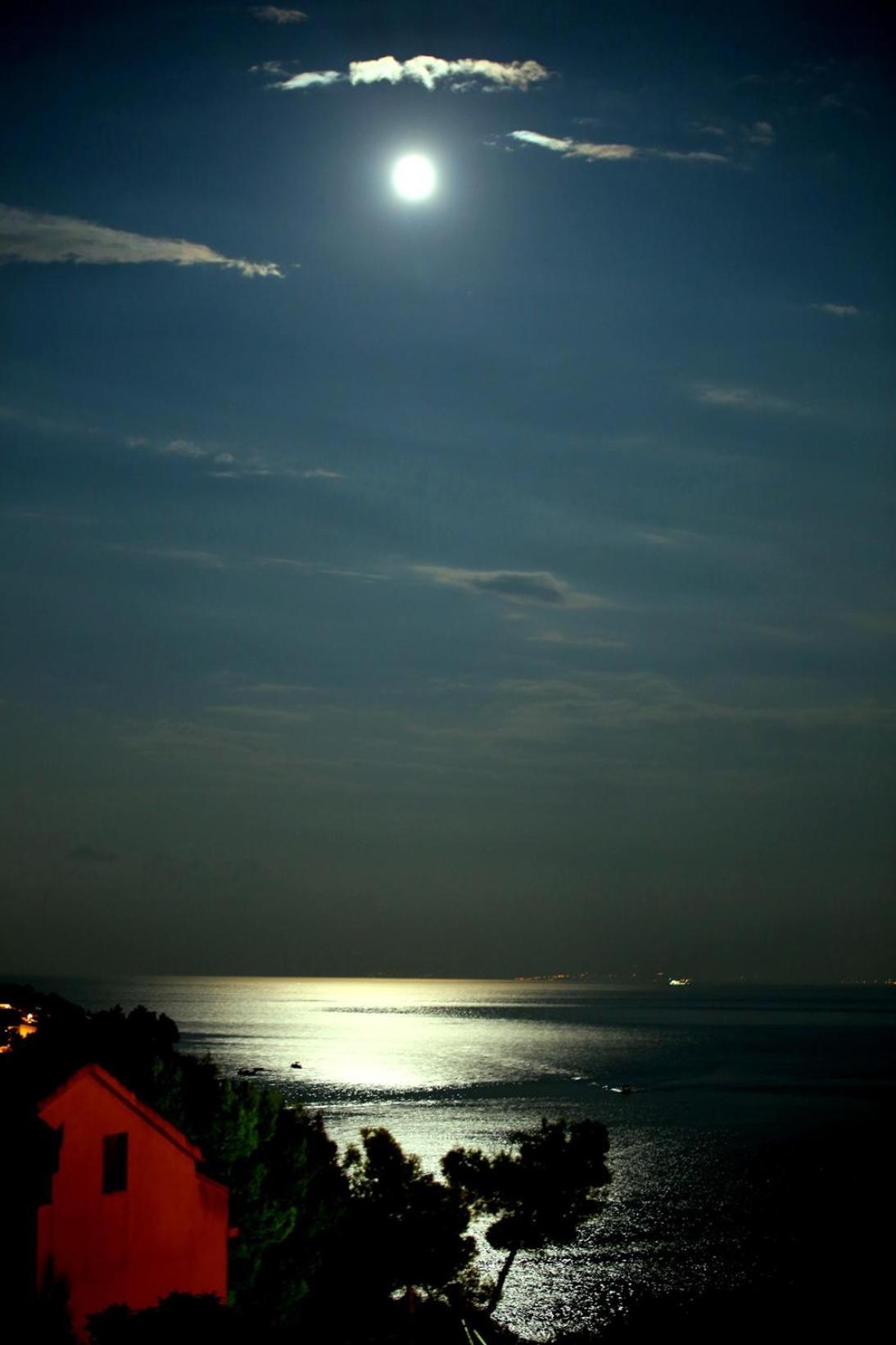 Divine Seaview * Trogir